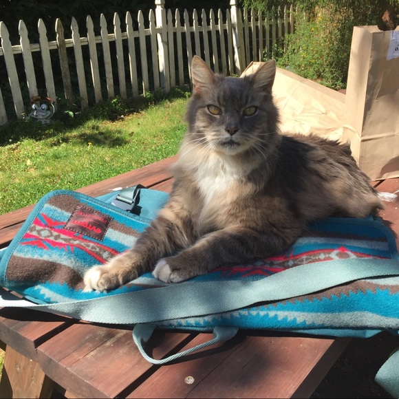 Meet your Posher, Malcom - Picture 9 of 14